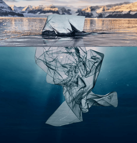 10 Easy Ways to Help Protect Marine Life - Earth Drinkware